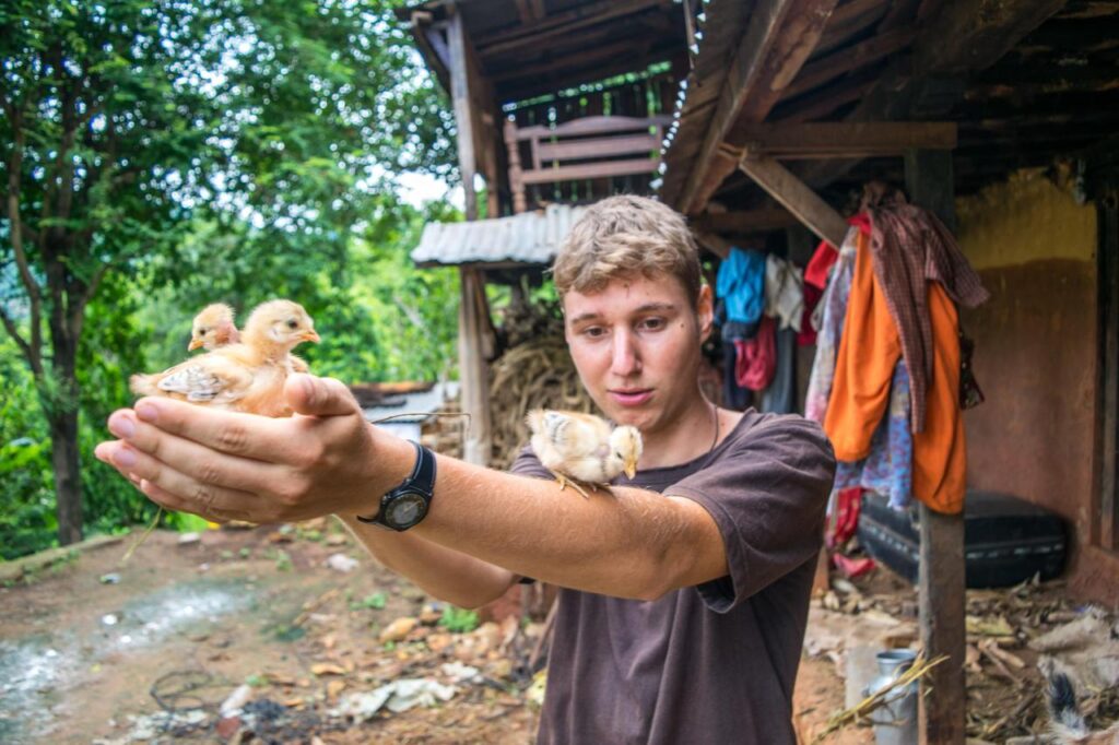 Animal care Volunteering Internship India