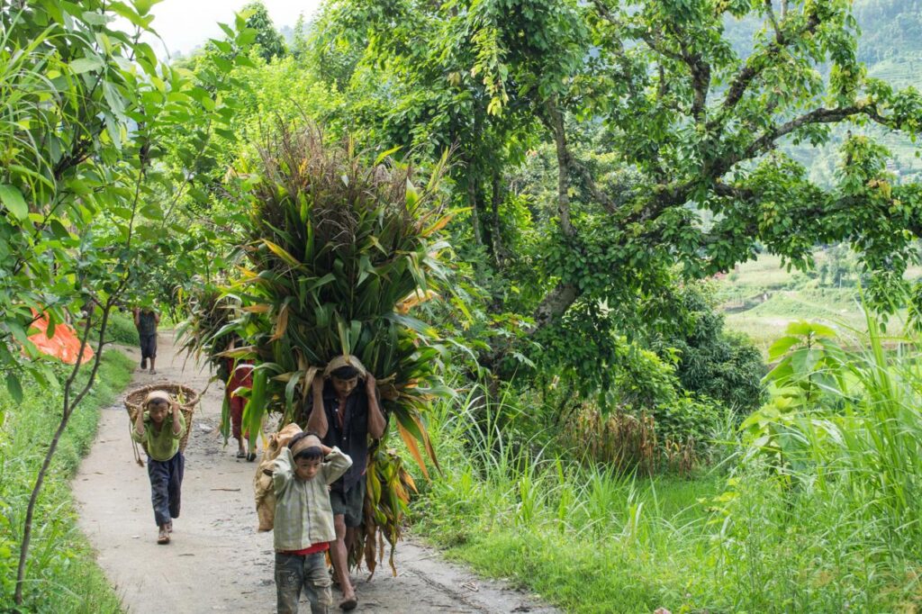 Environmental Volunteering Nepal