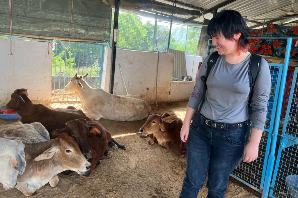 Animal Care India
